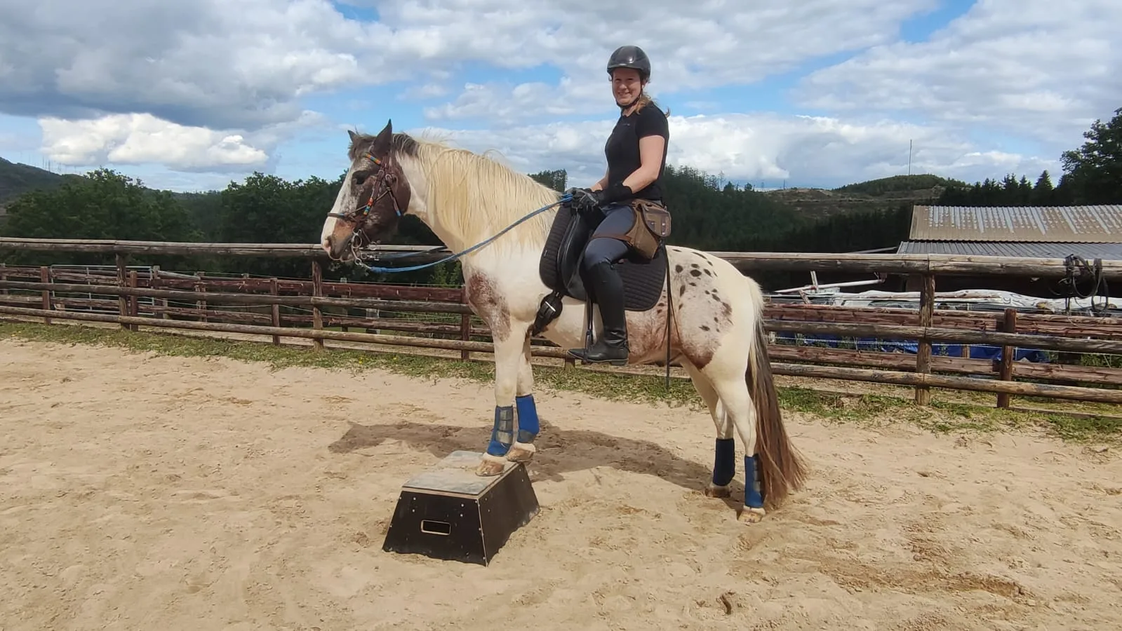 Reiterin mit blindem Pferd im Reitplatz
