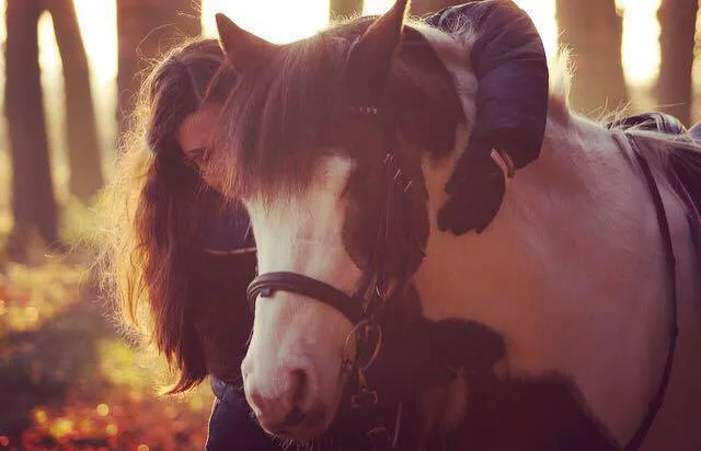 Blindes Pferd mit seiner Halterin