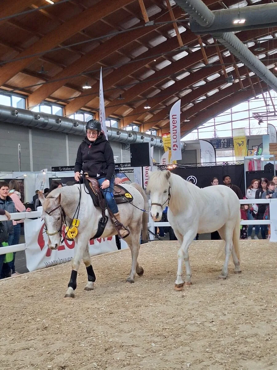 Nina mit dem blinden Shilo, daneben Blindenführpony Bartolomeo