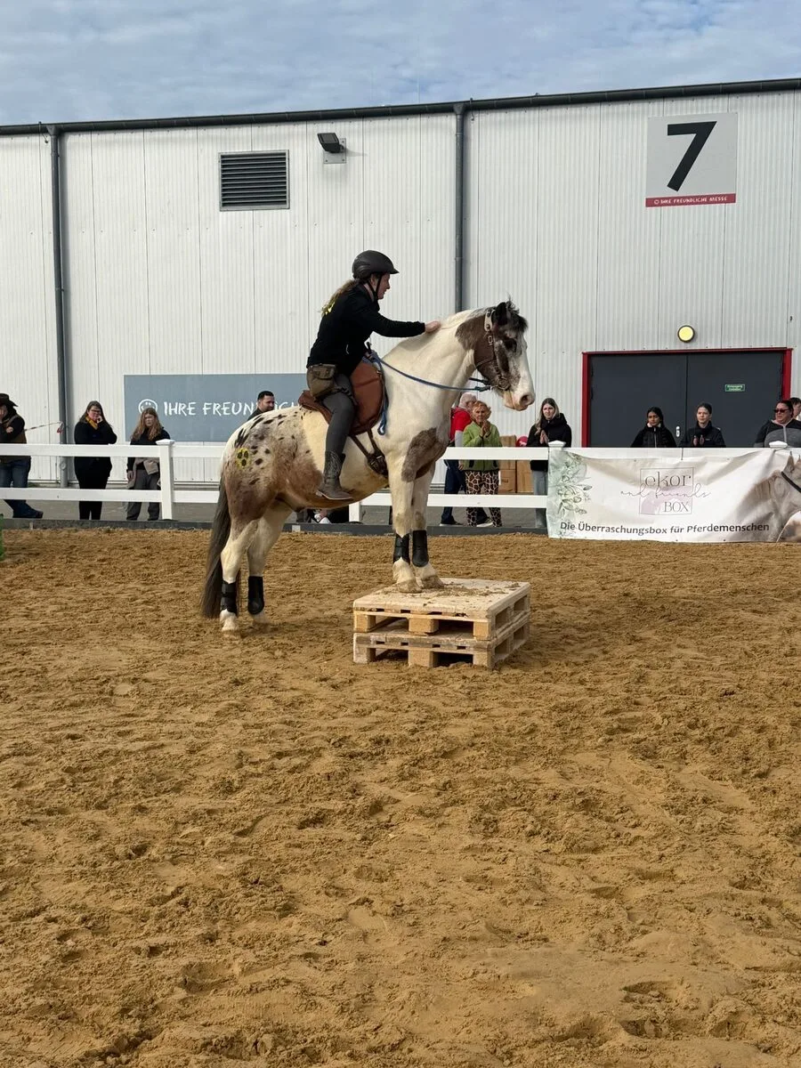Pino steigt in Halle 7 auf ein Podest
