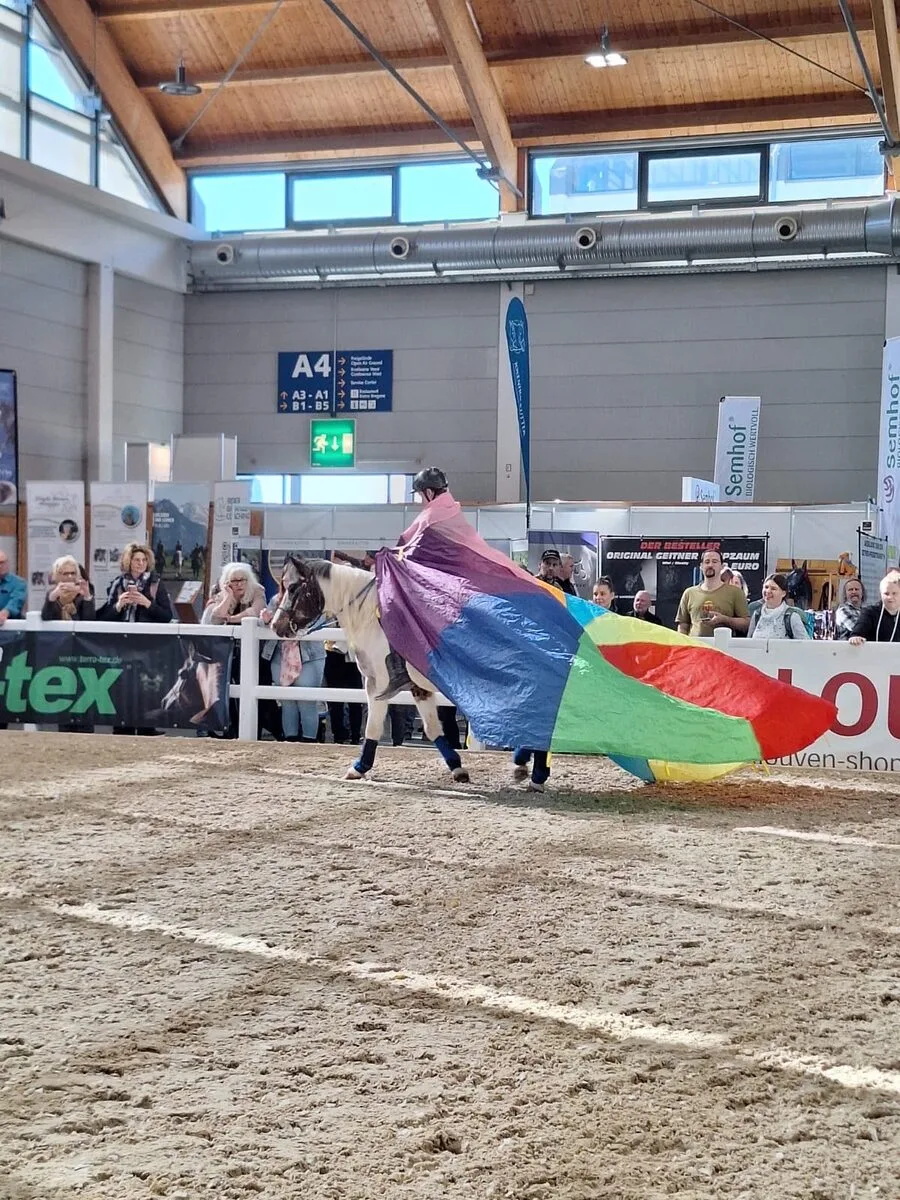 Pino zieht mit dem bunten Schwungtuch durch den Ring