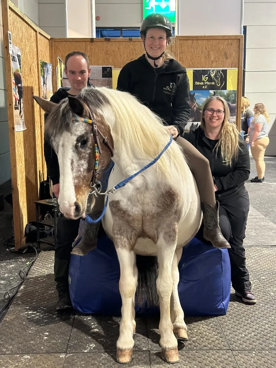 Pino nimmt entspannt auf dem Podest in seinem Sitzsack Platz