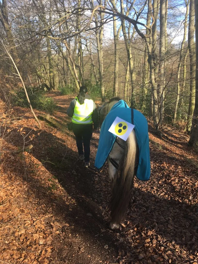 Pepper mit Blindenzeichen auf dem Weg zum neuen Stall