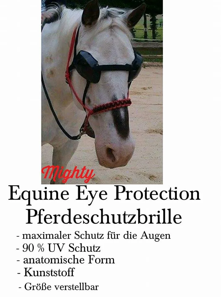 Equine Eye Protection Maske