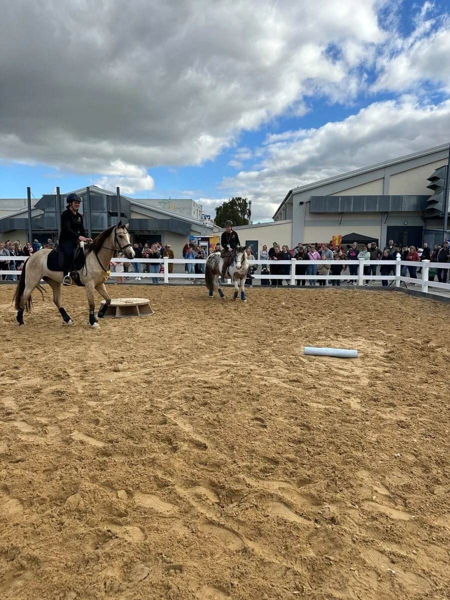 Chaya und ein weiteres Pferd zeigen Elemente der Working Equitation vor Publikum